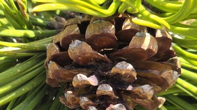 20260522_121311