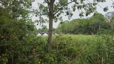20260717_133438