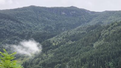 20260806_090841
