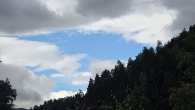 20260806_172221